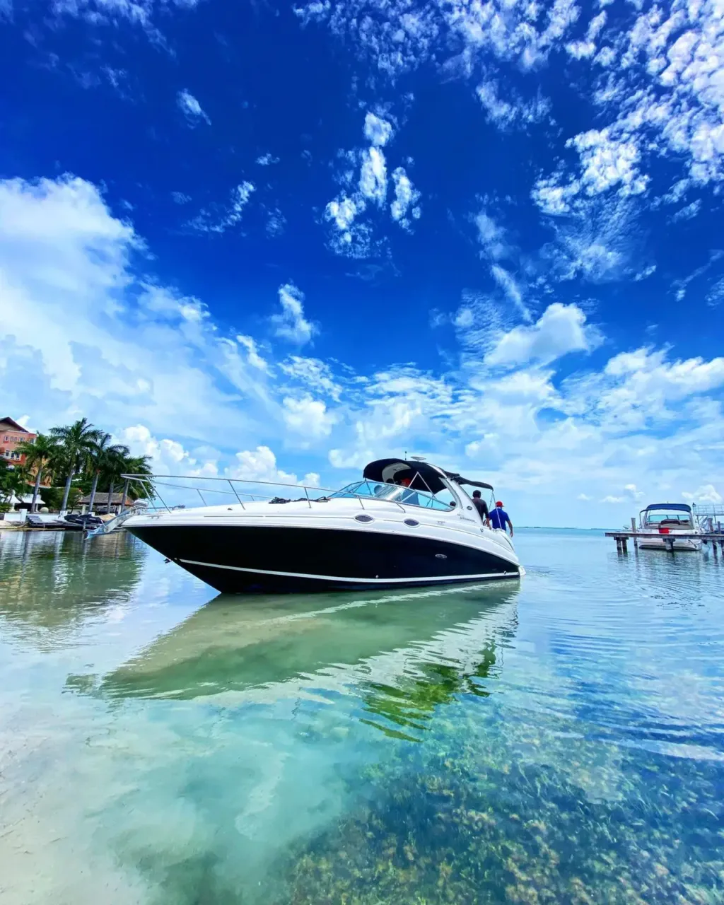 Sea Ray Sundancer 32 pies