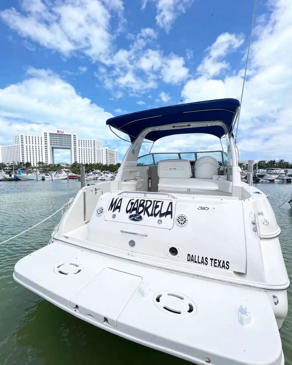 Sea Ray Sundancer 31 pies - Imagen 2