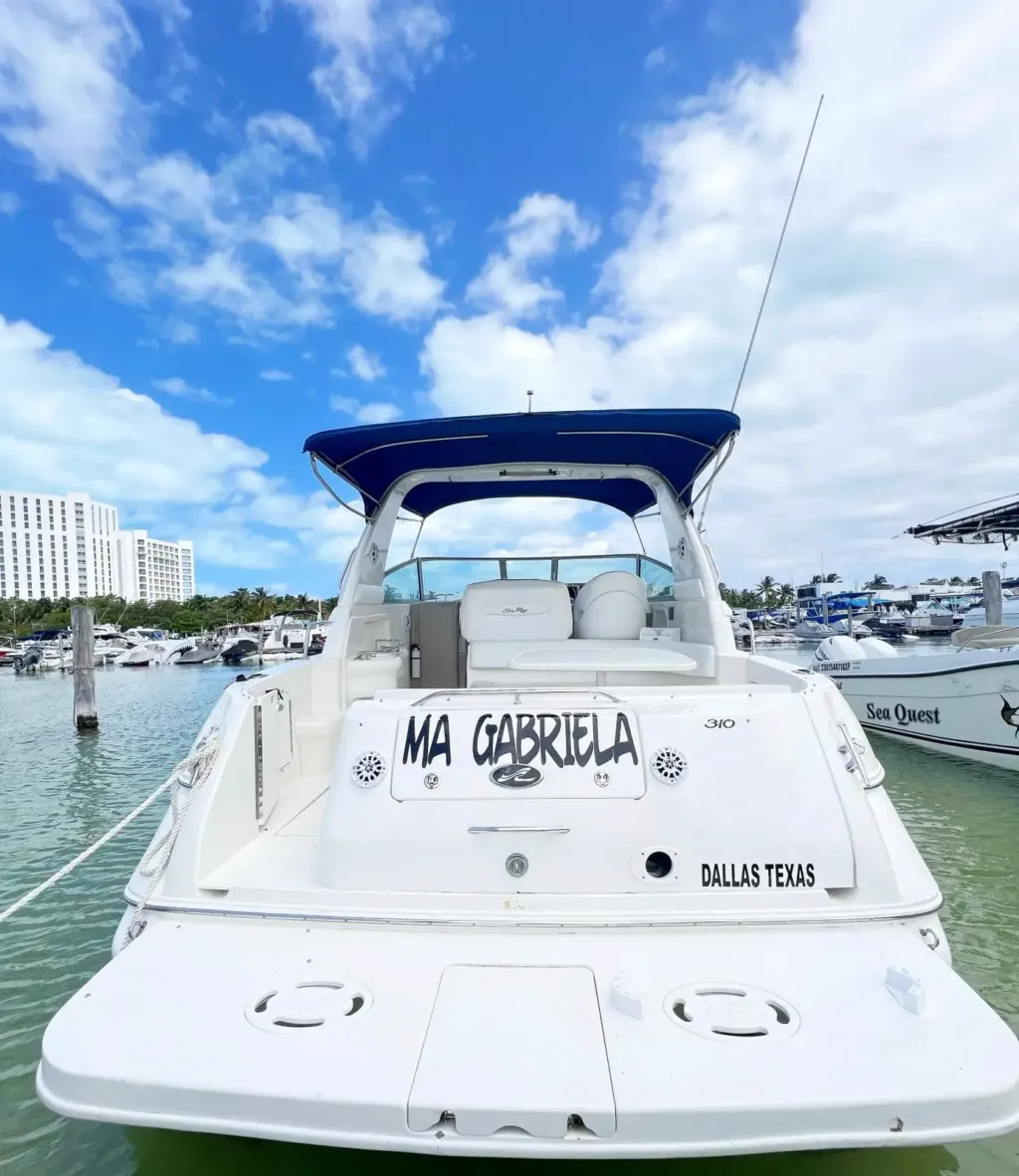 Sea Ray Sundancer 31 pies - Imagen 4