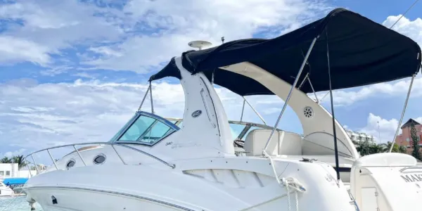 Sea Ray Sundancer 32 pies