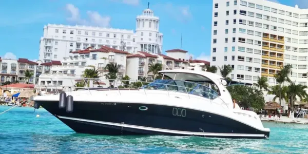 Sea Ray Sundancer 44 pies