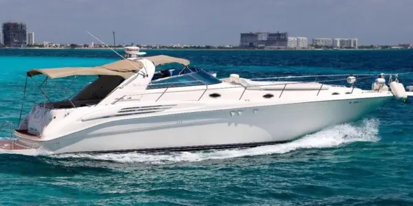 Sea Ray Sundancer 45 pies