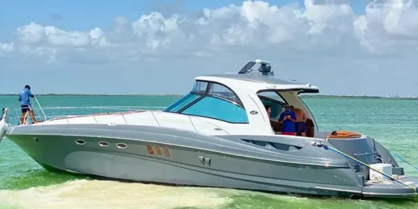 Sea Ray Sundancer 55 pies