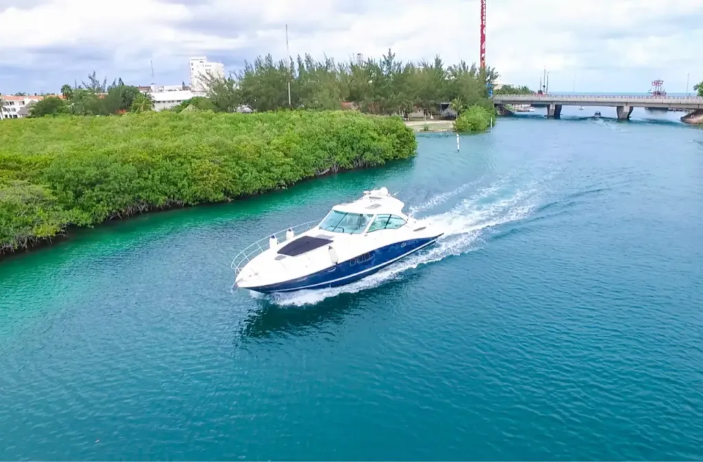 Searay Sundancer 50 pies - Imagen 5