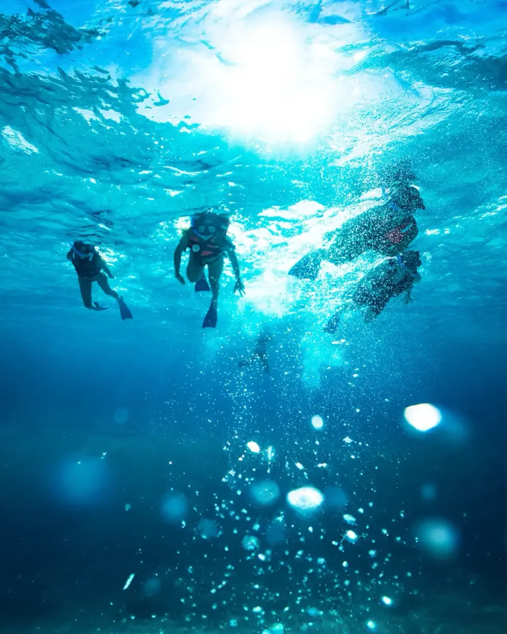 Get Up and Go - Tour en Catamarán a Isla Mujeres - Imagen 5